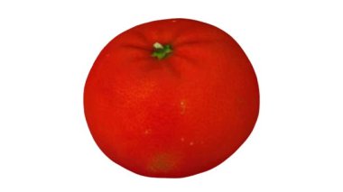 Beyaz zemin üzerinde dönen bir mandalina portakalının (Clementine çeşidi) gerçekçi canlandırması. Video kusursuz bir şekilde döngüye giriyor ve nesne gerçek bir meyveden 3D taranıyor..