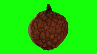 Yeşil arka planda kısmen soyulmuş, dönüşümlü, gerçekçi bir liçi çizimi. Video kusursuz bir şekilde döngüye giriyor ve nesne gerçek bir meyveden 3D taranıyor..