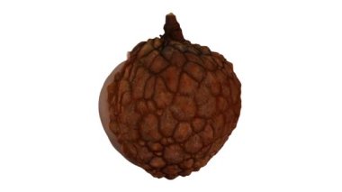 Beyaz arka planda kısmen soyulmuş, dönen bir lychee 'nin gerçekçi canlandırması. Video kusursuz bir şekilde döngüye giriyor ve nesne gerçek bir meyveden 3D taranıyor..