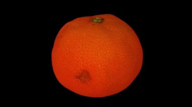 Siyah zemin üzerinde dönen bir mandalina portakalının (Clementine çeşidi) gerçekçi canlandırması. Video kusursuz bir şekilde döngüye giriyor ve nesne gerçek bir meyveden 3D taranıyor..