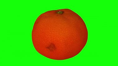 Yeşil zemin üzerinde dönen bir mandalina portakalının (Clementine çeşidi) gerçekçi canlandırması. Video kusursuz bir şekilde döngüye giriyor ve nesne gerçek bir meyveden 3D taranıyor..