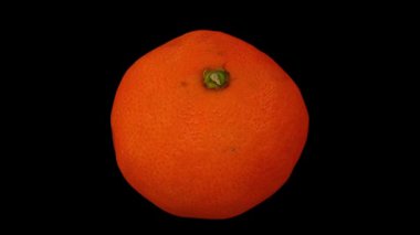 Siyah zemin üzerinde dönen bir mandalina portakalının (Clementine çeşidi) gerçekçi canlandırması. Video kusursuz bir şekilde döngüye giriyor ve nesne gerçek bir meyveden 3D taranıyor..