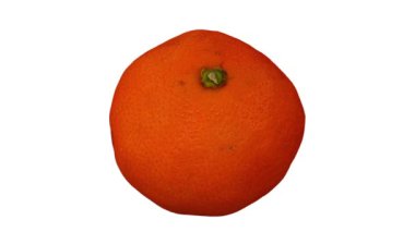 Beyaz zemin üzerinde dönen bir mandalina portakalının (Clementine çeşidi) gerçekçi canlandırması. Video kusursuz bir şekilde döngüye giriyor ve nesne gerçek bir meyveden 3D taranıyor..