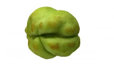 Beyaz arka planda dönen bir şiltenin (mirliton squash) gerçekçi canlandırması. Video kusursuz bir şekilde döngüye giriyor ve nesne gerçek bir çakaldan 3D olarak taranıyor..