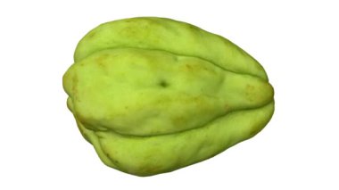 Beyaz arka planda dönen bir şiltenin (mirliton squash) gerçekçi canlandırması. Video kusursuz bir şekilde döngüye giriyor ve nesne gerçek bir çakaldan 3D olarak taranıyor..