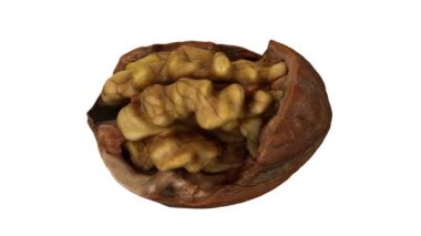 Beyaz fon üzerinde dönen çatlak bir cevizin (içindeki çekirdeği gösteren) gerçekçi canlandırması. Video kusursuz bir şekilde döngüye giriyor ve nesne gerçek bir cevizden 3D taranıyor..