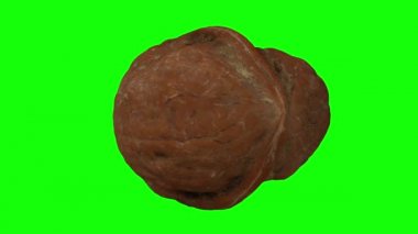 Yeşil zemin üzerinde dönen çatlak bir cevizin (içindeki çekirdeği gösteren) gerçekçi canlandırması. Video kusursuz bir şekilde döngüye giriyor ve nesne gerçek bir cevizden 3D taranıyor..