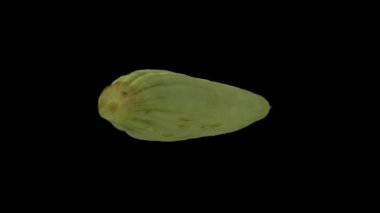 Siyah arka planda dönen Ermeni beyaz salatalığının gerçekçi bir tasviri. Video kusursuz bir şekilde döngüye giriyor ve nesne gerçek bir salatalıktan 3D taranıyor..