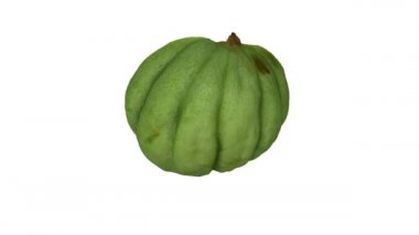 Beyaz arka planda yarı olgunlaşmamış bir kavunun (turşu için) gerçekçi bir canlandırması. Video kusursuz bir şekilde döngüye giriyor ve nesne gerçek bir meyveden 3D taranıyor..