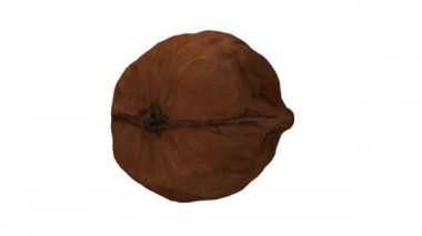 Beyaz arka planda dönen bir cevizin gerçekçi canlandırması. Video kusursuz bir şekilde döngüye giriyor ve nesne gerçek bir cevizden 3D taranıyor..