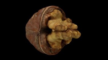Siyah zemin üzerinde dönen çatlak bir cevizin (içindeki çekirdeği gösteren) gerçekçi canlandırması. Video kusursuz bir şekilde döngüye giriyor ve nesne gerçek bir cevizden 3D taranıyor..