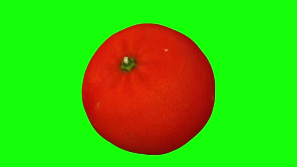 在绿色背景上真实地呈现一个旋转的柑橘 克莱门汀变种 视频是无缝循环的 对象是三维扫描从一个真正的水果 — 图库视频影像