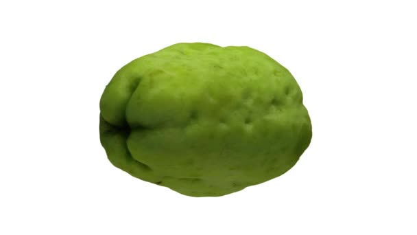 Renderizado Realista Chayote Giratorio Calabaza Mirliton Sobre Fondo Blanco Vídeo — Vídeos de Stock