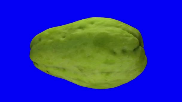 Realistische Darstellung Eines Rotierenden Chayote Mirliton Squash Auf Blauem Hintergrund — Stockvideo