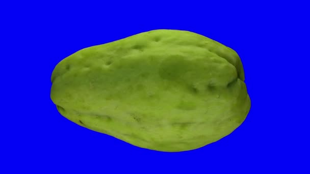 Realización Realista Chayote Giratorio Calabaza Mirliton Sobre Fondo Azul Vídeo — Vídeo de stock