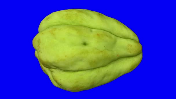 Realización Realista Chayote Giratorio Calabaza Mirliton Sobre Fondo Azul Vídeo — Vídeos de Stock