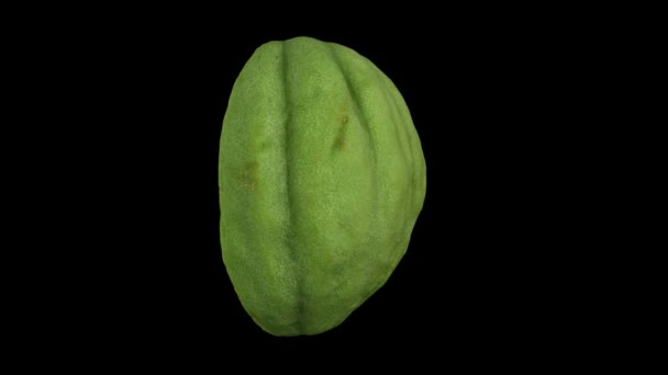 Reproduction réaliste d'un melon demi-mûr rotatif (pour le décapage) sur fond noir. La vidéo est parfaitement en boucle, et l'objet est scanné en 3D à partir d'un vrai fruit .