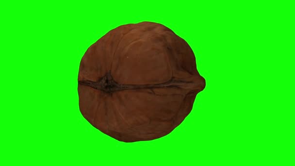 Realistische Darstellung Einer Rotierenden Walnuss Auf Grünem Hintergrund Das Video — Stockvideo