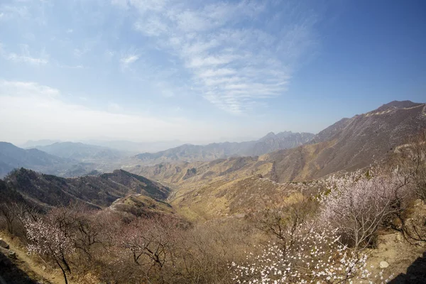 Pekin, Çin - CIRCA 2020: Çin 'in Pekin yakınlarındaki Huairou Bölgesi' nde Mutianyu 'da yeşil bir orman manzarasında Çin Seddi. Grate Wall of China 'nın sonbahar manzarası