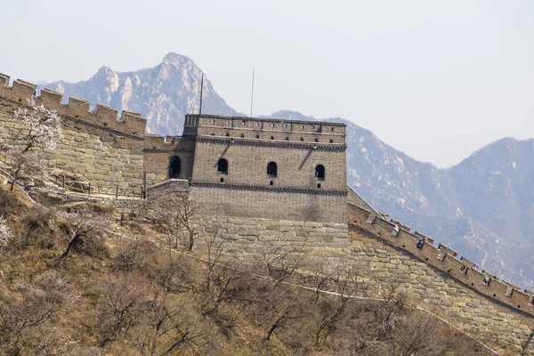 Pekin, Çin - CIRCA 2020: Çin 'in Pekin yakınlarındaki Huairou Bölgesi' nde Mutianyu 'da yeşil bir orman manzarasında Çin Seddi. Grate Wall of China 'nın sonbahar manzarası