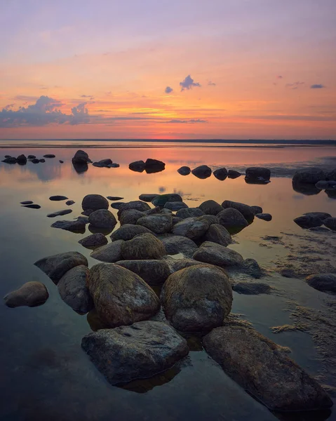 Verão Noite Pôr Sol Paisagem Costa Golfo Finlândia Mar Báltico — Fotografia de Stock