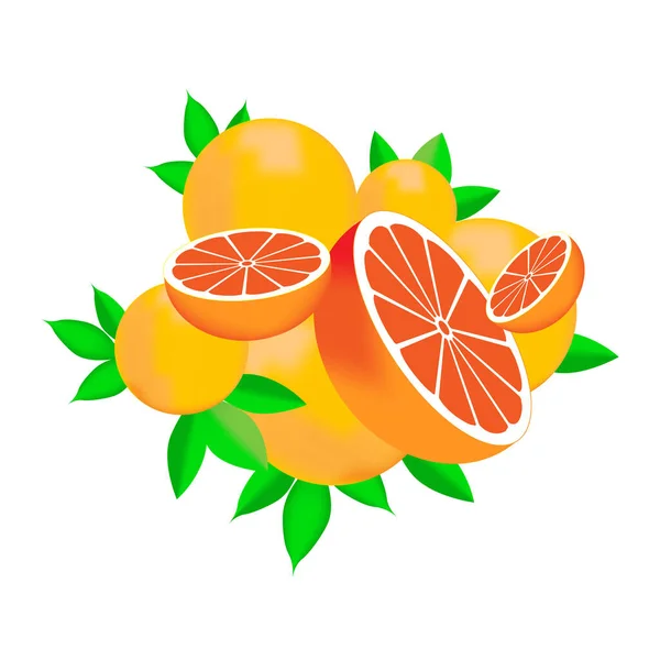 Vektorillustration Einer Orange Oder Grapefruit Mit Scheiben Und Blättern — Stockvektor