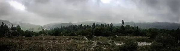Fisht Dağı eteğindeki bir turist kampının manzarası.