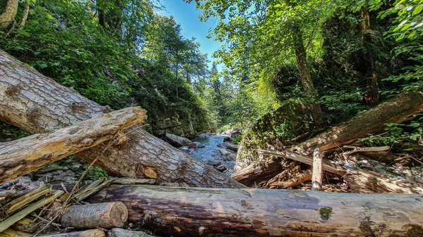 Rosa Khutor 'un tatil köyündeki şelaleye git.