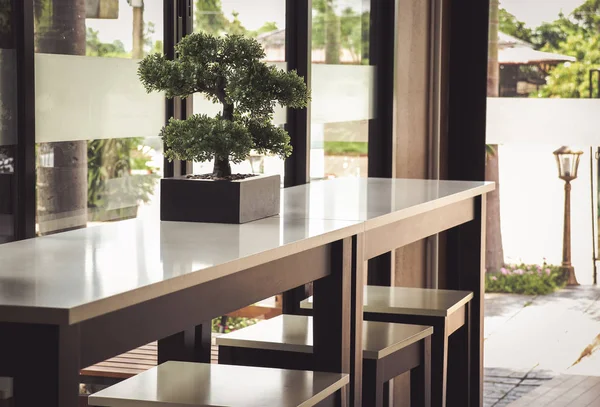 Bir Kahve Dükkanı Masanın Üzerine Yerleştirilen Ağaç Tencere - Stok İmaj