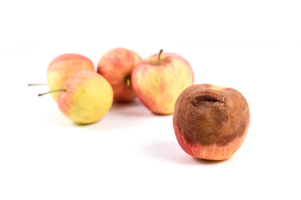 Manzana Pudrirse Blanco — Foto de Stock