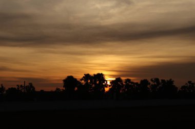 Yol boyunca orman silüeti.
