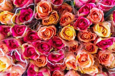 Güzel kırmızı plastik çiçekler için arka plan gül.