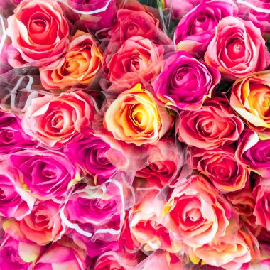 Güzel kırmızı plastik çiçekler için arka plan gül.