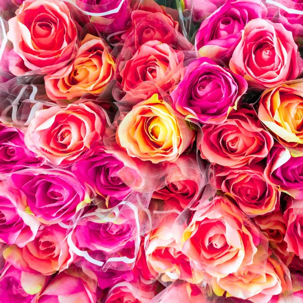 Güzel kırmızı plastik çiçekler için arka plan gül.