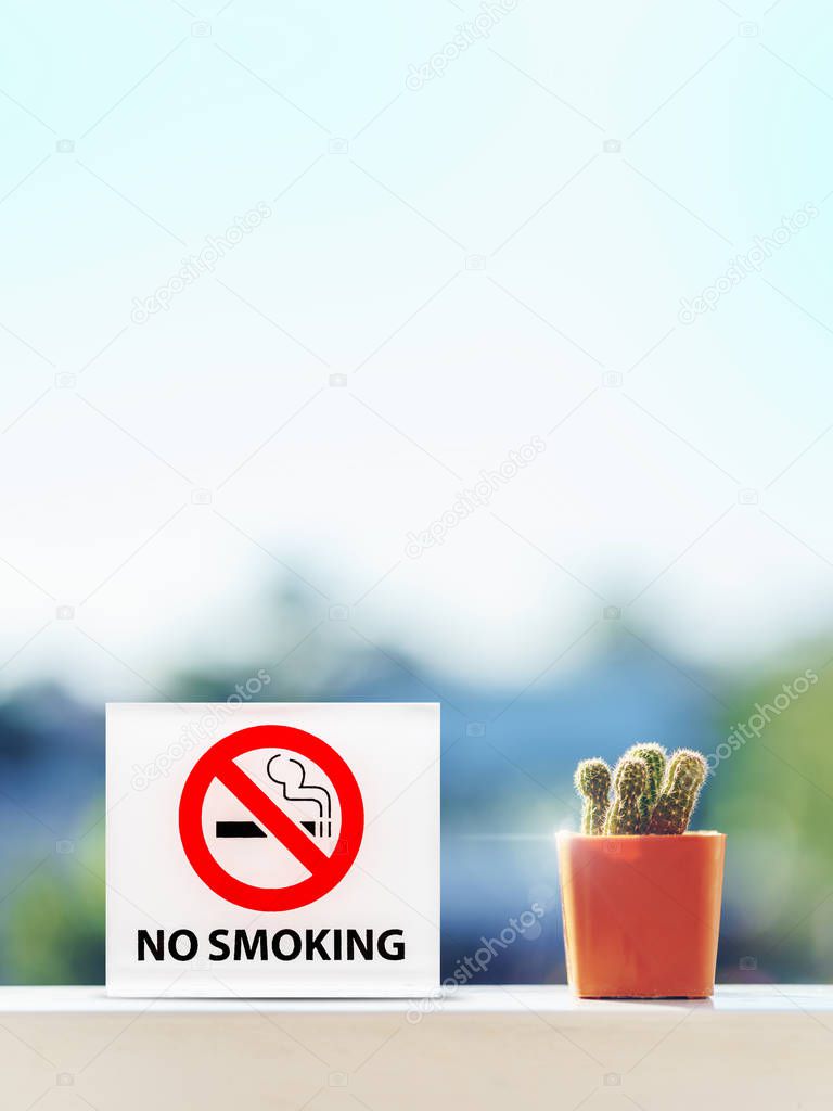 No smoking sign in hotel room with cactus on wood table.