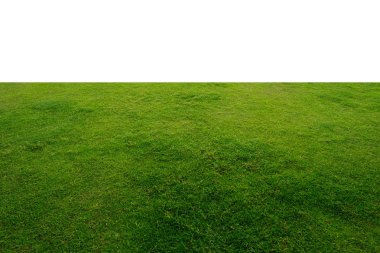 Beyaz arkaplanda yeşil çimen.