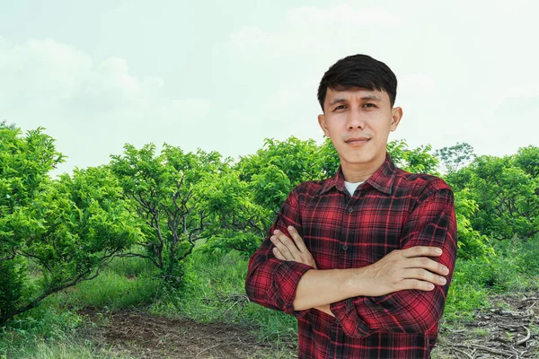 Jovem agricultor sorrindo e em pé no fundo pomar macieiras creme . — Fotografia de Stock