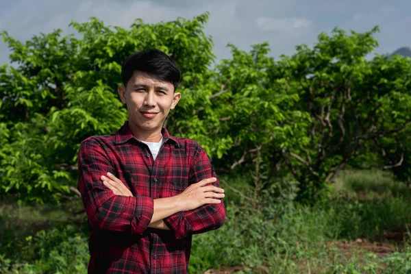 Νεαρός αγρότης χαμογελά και στέκεται σε φόντο από μηλιές με κρέμα. — Φωτογραφία Αρχείου