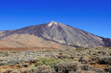 Volkan Mount Teide (Teide tepe), çevre sertleştirilmiş lav ve ağaçsız dağ bitki örtüsü ile bir bakış. Milli Parkı, Tenerife, Kanarya Adaları, İspanya.  