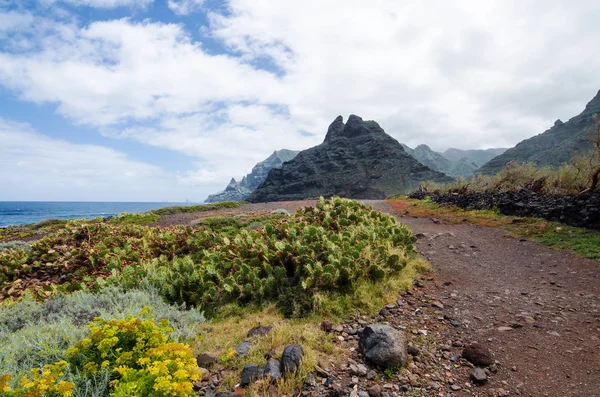 Mooi landschap met uitzicht op de wandelweg, bergen van Punta del Fronton in Anaga Rural Park en het unieke karakter van Tenerife North. Canarische eilanden, Spanje. — Stockfoto