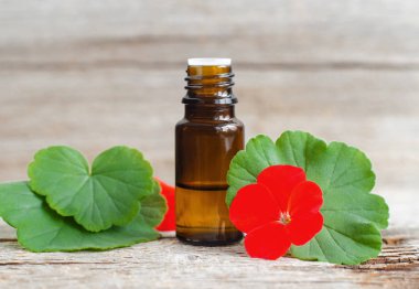Küçük cam şişe eski ahşap arka plan üzerinde temel Sardunya yağı ile. Sardunya yaprak ve çiçek, yakın çekim. Aromaterapi, spa ve bitkisel tıp maddeler. Kopya alanı. 