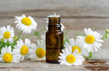 Eski ahşap arka planda Roma papatyası yağı bulunan küçük cam şişe. Papatya çiçekleri, yaklaşın. Aromaterapi, spa ve bitkisel ilaç malzemeleri. Boşluğu kopyala.  