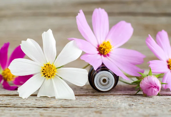 Pequeña Botella Vidrio Con Aceite Esencial Fondo Madera Vieja Flores —  Fotos de Stock