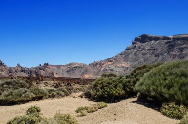Çevre sertleştirilmiş lav ve dağ bitki örtüsü ile volkanın Teide (caldera). Teide Milli Parkı dağ manzarası bulutların üstünde. Tenerife, Kanarya Adaları, İspanya 