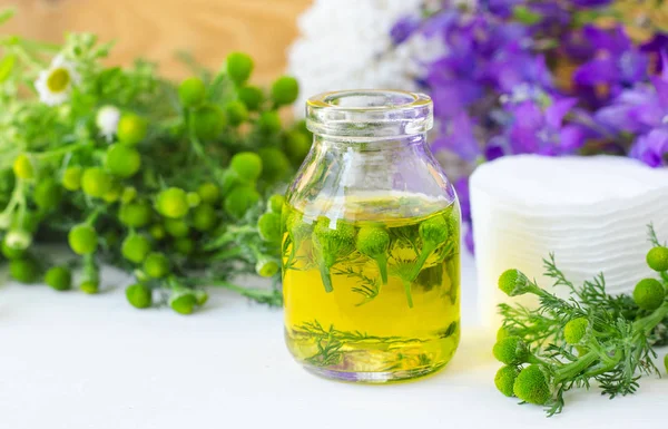 Kleine Glasflasche Mit Kosmetischem Reinigendem Heilendem Wildkamille Aromaöl Und Baumwollkissen — Stockfoto