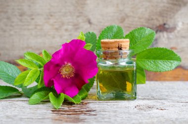 Doğal gül kalça tohumu yağı ile küçük vintage şişe. Aromaterapi ve doğal cilt bakım konsepti. Yabani gül çiçeği ve yaprakları ile eski ahşap arka plan. Kopyalama alanı.  