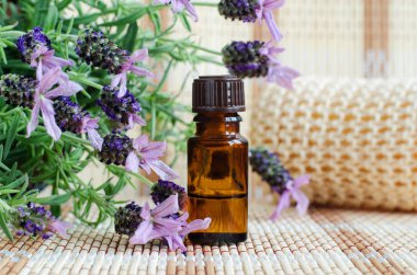 Uçucu lavanta yağı ile küçük bir şişe. Lavandula çiçekleri yakın. Aromaterapi, spa ve bitkisel ilaç maddeleri. Kopyalama alanı