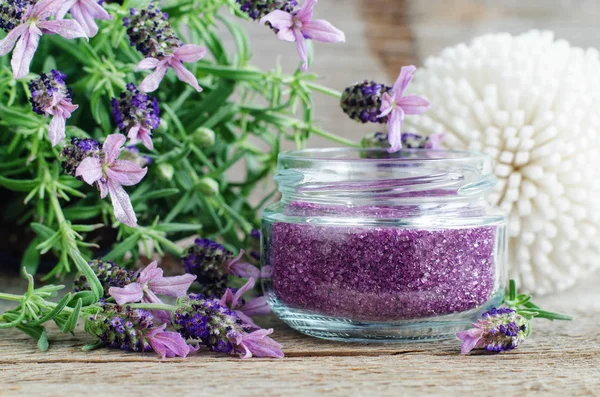 Homemade purple exfoliating scrub (foot soak or bath salt) with essential lavender oil. Topped lavender flowers close up. Natural skin and hair care. DIY beauty treatments, spa recipe. Copy space.