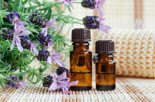 Duas pequenas garrafas com óleo de lavanda essencial. Flores de lavandula fecham. Aromaterapia, spa e ingredientes de ervas medicinais. Espaço de cópia — Fotografia de Stock