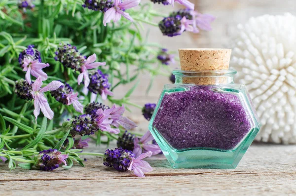 Vintage glass bottle with aroma lavender bath salt (exfoliation scrub, foot soak). Topped lavender flowers close up. Natural skin are. DIY beauty treatments and spa concept. Copy space — Stock Photo, Image